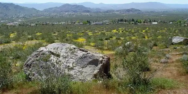 1 Susie Lane