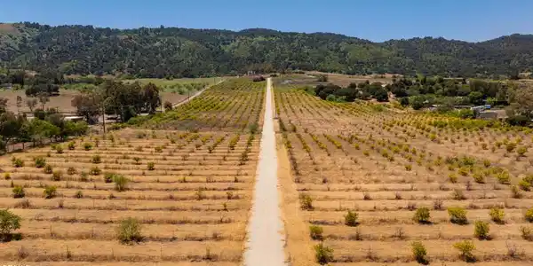12400 Ojai Santa Paula Road
