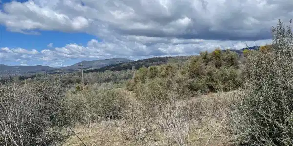34 Miami Highlands