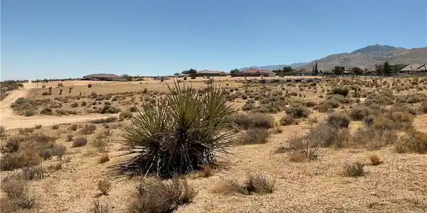 7 Ocotillo Way