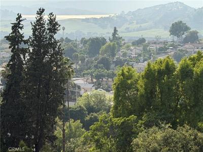 265 Encino Drive