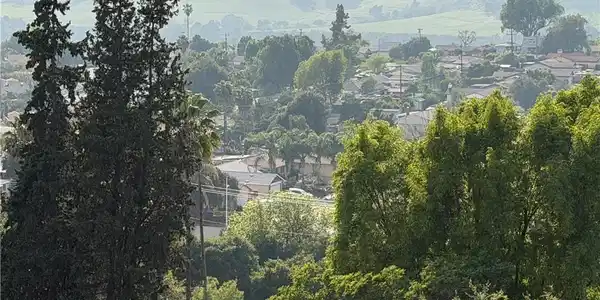 265 Encino Drive