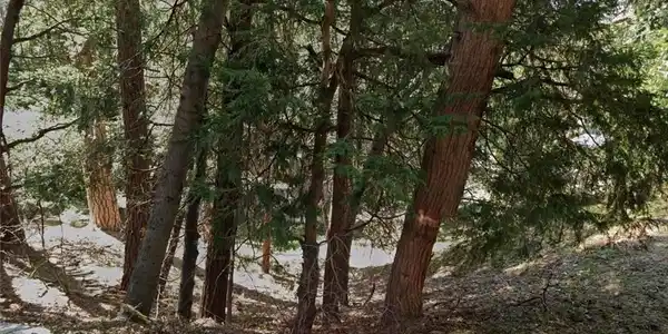 1 Crest Forest Drive