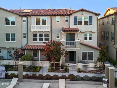 569 Grapefruit Lane