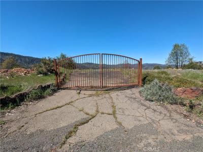 15295 Trinity Road