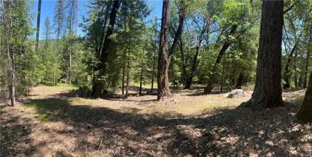 15675 Bottle Rock Road