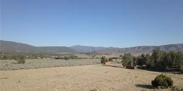 16469 Curtis Trail