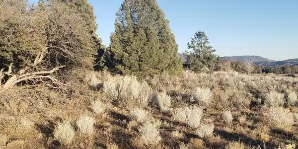 0 Boy Scout Camp Road