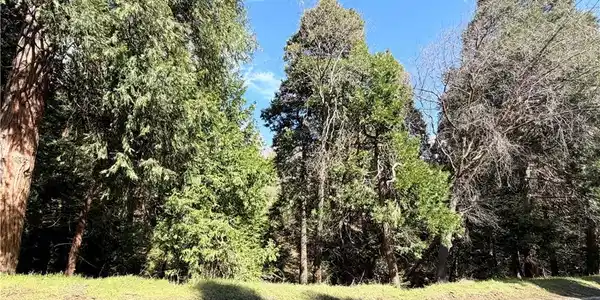 0 Hook Creek
