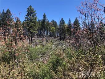 6847 High Valley