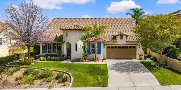 3165 Forest View