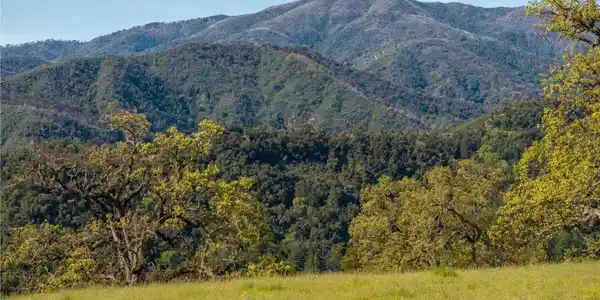 16 Long Ridge Trail (Lot 233)