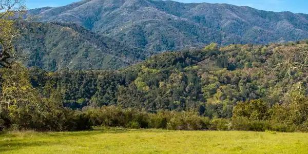 14 Long Ridge Trail (Lot 232)