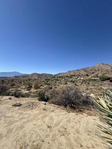 49191 Cedar Drive