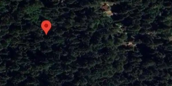 2235 cazadero hwy