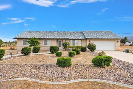 6271 Smoke Tree