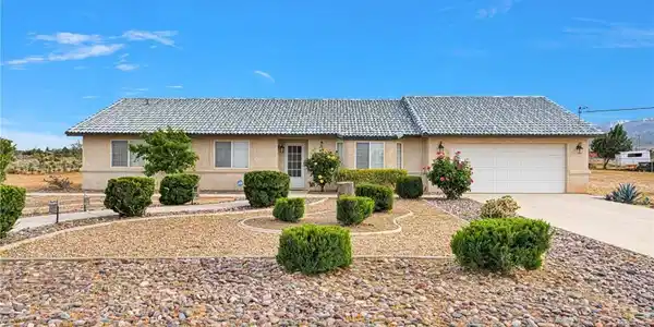 6271 Smoke Tree