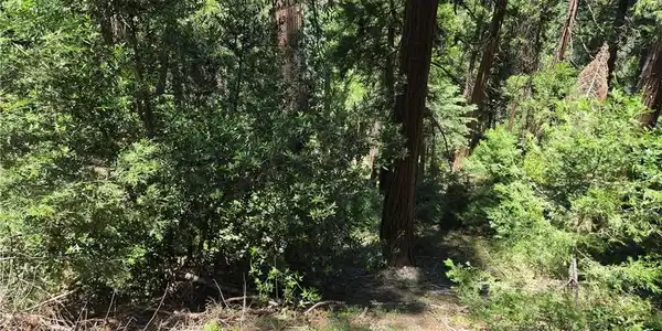0 Deer Run Road