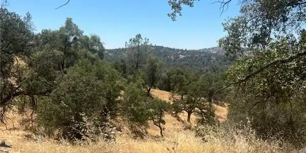 0 Deep Forest Drive