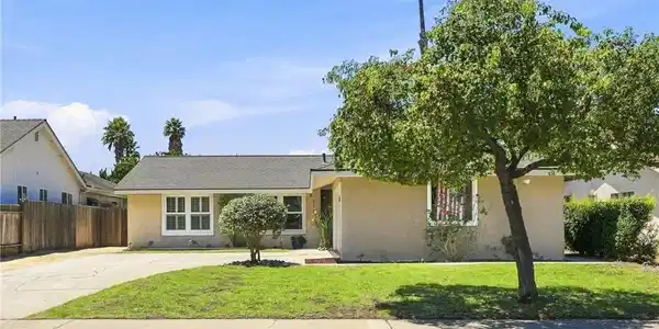 313 Amherst