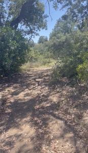 0 Mother Grundy Truck Trail