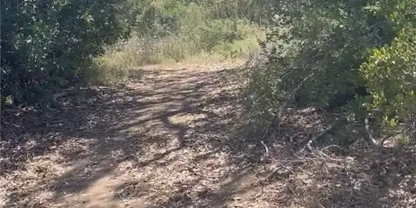 0 Mother Grundy Truck Trail