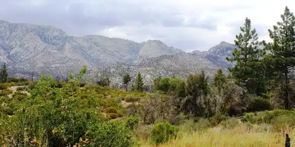 0 Bonita Vista Road