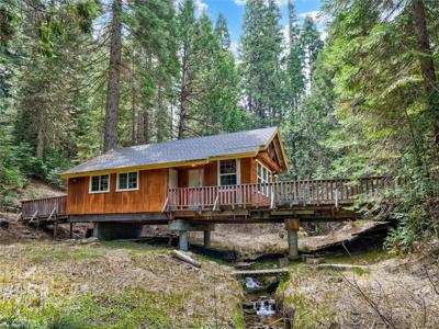 7739 Black Pine
