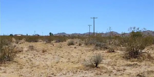 5 AC Joshua Tree
