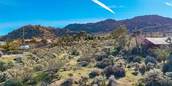 61017 Navajo Trail