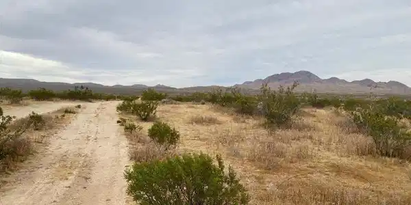 19 Hwy 395