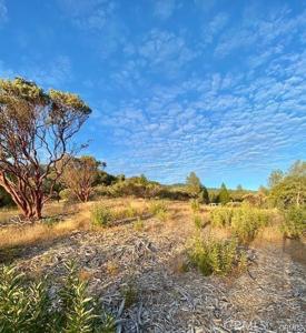 17 5 Acres Vista Lago