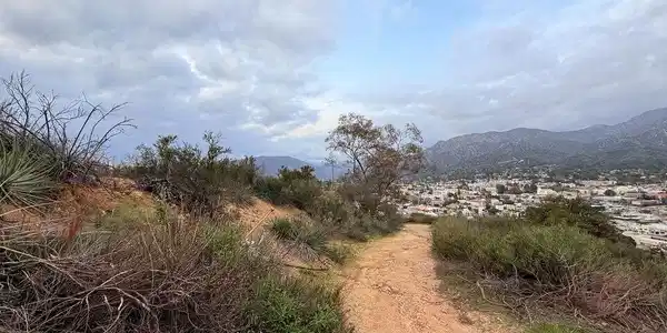 Image 2