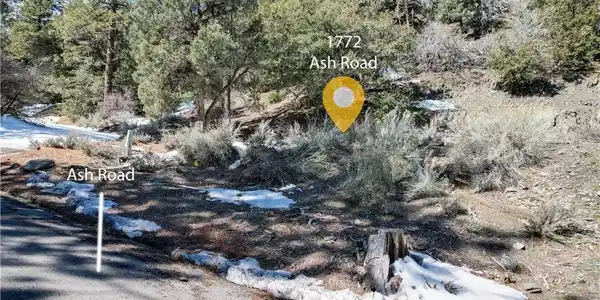 1772 Ash