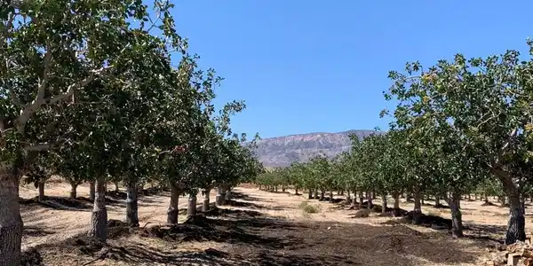 10080 Santa Fe Fire Road