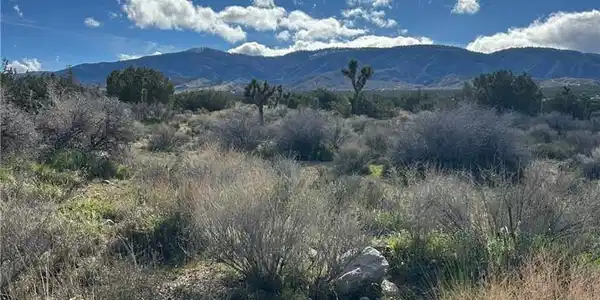 0 Fort Tejon-puzzle canyon