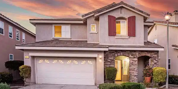 2997 Weeping Willow