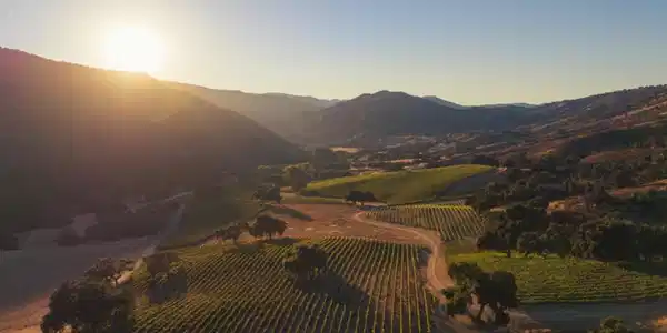 18190 Cachagua