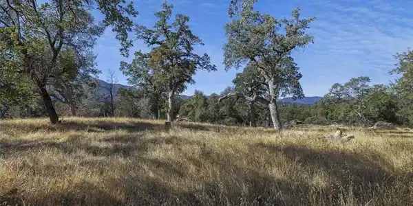 0 39.29 AC Village Drive