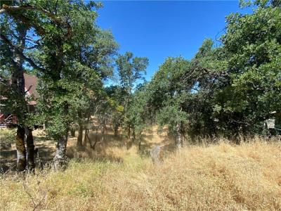17487 Meadow View Drive