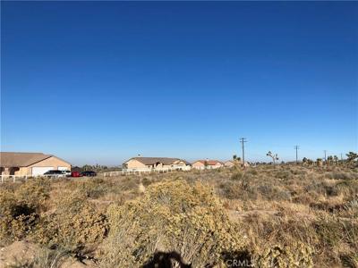 2 White Fox Trail