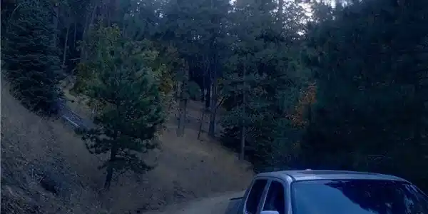 0 Truman Drive