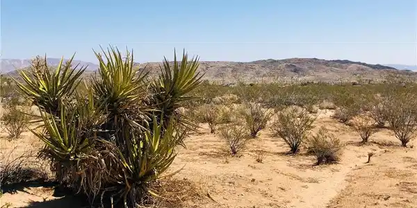 2 Geronimo Trail