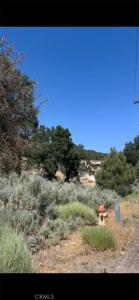 24151 Jacaranda Drive