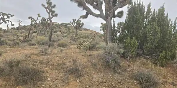 54763 Twentynine Palms Highway