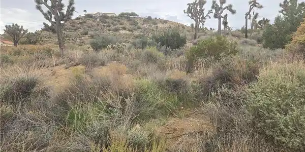 54777 Twentynine Palms Highway