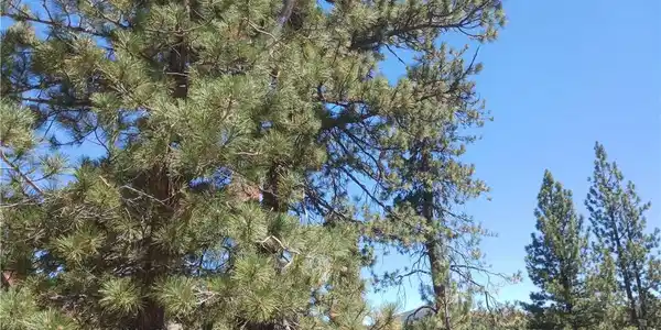 0 Big Bear Boulevard