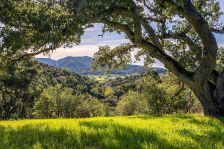 7 Vasquez Trail (Lot 172)