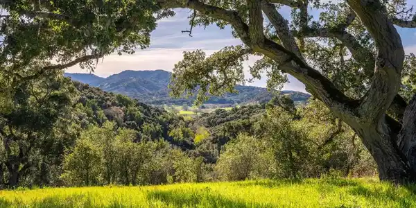 7 Vasquez Trail (Lot 172)