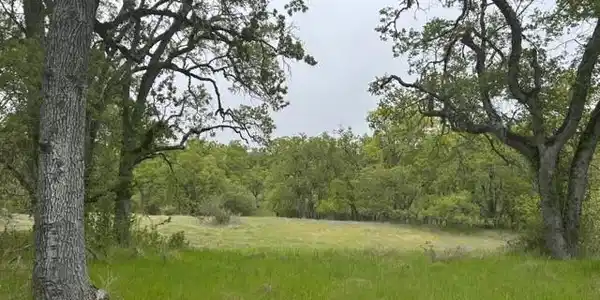 0 Lambert Flat Road